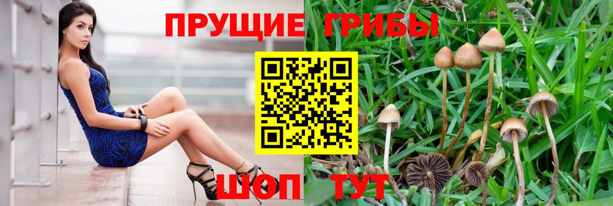 Лянтор  Галлюциногенные грибы GOLDEN TEACHER  Вход с VPN  продажа наркотиков  Псилоцибиновые грибы Psilocybe 